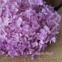 벚꽃조화 벚꽃나무조화 조화 인조 나무 소품 안나 수국 꽃 작은 잎 보존 장식 사무실 DIY, 10g, Color 79B