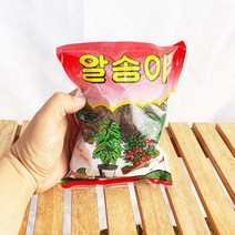 알송이 소나무 분재 고형 고체 유박 비료 퇴비 관엽 식물 영양제 알 거름, 1개