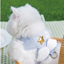 강아지 고양이 천사 하네스 가슴줄 우리얘기 날아갈수도 있어요, 천사날개조끼 핑크