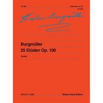 부르크뮐러 25개의 에튀드 OP 100, 음악세계, Burgmuller 저