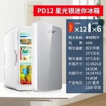 미니냉장고 소형 무소음 사스트차 인 가구 기숙사 차량용 가정용 인용 모유 저장 화장품 냉장, 10.12L 차량 겸용 실버
