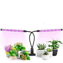 효과적인 LED식물등 크로톤키우기 새싹채소 다육이, 쿠팡 본상품선택