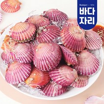 통영 청정해역 당일채취 제철 홍가리비 1kg 가리비찜 가리비구이 가리비회, 홍가리비 3kg