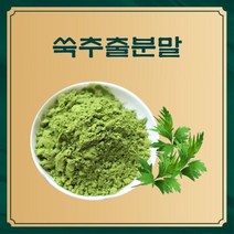 쑥추출분말 50g 샘플, 본상품선택, 본상품선택, 설산백호 본상품선택