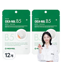 메디필 피토 시카놀 B5 스팟 패치 S, 60개, 60개입