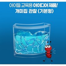 개미집 관찰 앤트하우스 개미탐구 개미하우스 개미키우스 교육 어린이집 초등학생, 1개