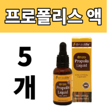 영양제왕 뉴질랜드 프로폴리스 액상 액 원액 30ml 들고다니기 편한 병 5개 원액 액상 액체