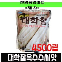 채소-대학찰옥수수4500립/대학찰4500립/농우바이오/연농1호씨앗/종자, 농우-대학찰옥수수 2000립, 1개