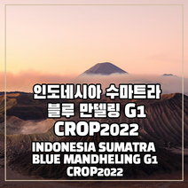 (커피생두) 64 인도네시아 수마트라 블루 만델링 G1-CROP2022 500g, 1개