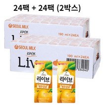 서울우유 리이브 제주감귤 주스, 190ml, 48개