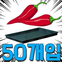 건조기에서 열변형이 없는 고추 건조용 채반 50개입