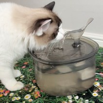 펫카 반려동물 투명 대용량 강아지 고양이 자동 급수기 정수기 2.5L, 1박스