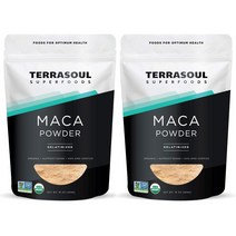 Terrasoul Superfoods 테라소울 슈퍼푸드 오가닉 마카 파우더 16oz(454g) 2팩 Organic Gelatinized Maca Powder, 2개, 454g