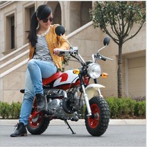 미니 오토바이 가솔린 입문용 몽키바이크 110cc, 노란색