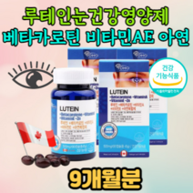 루테인 비타민A 눈건강 영양 황반변성 어르신 부모님 노인 60대70대80대 돋보기 백 내장 영양제 황반색소밀도유지 야간 시야확보 마리골드꽃 주황색 카로티노이드 망막황반 구성성분