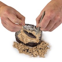 키즈 어린이 과학 공룡 이빨 화석 발굴 남아선물