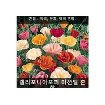 월동하는 꽃양귀비씨앗 모음 금영화 꽃양귀비 캘리포니아포피 아이슬랜드포피, 캘리포니아포피 미션벨 혼합 0.5g