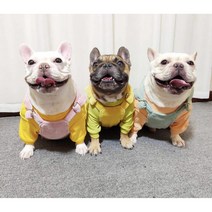 (토토네) 골덴 멜빵 올인원 푸들 비숑 포메 말티즈 프렌치불독 슈나우저 웰시코기 닥스훈트옷 중형견옷 소형견옷S-2XL TO-00021, 옐로우