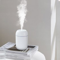 휴대용 USB 가습기 260ML 초음파 아로마 에센셜 오일 디퓨저 쿨 미스트 청정기 아로마 테라피 내구성 자동차 가정용, white|이탈리아