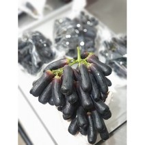 고당도 프로미엄 국내산 경북김천 블랙사파이어 가지포도 크림슨포도 국산 산지직송 1kg/1.5kg/2kg, 2kg, 1개