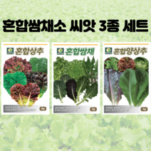 [적상추100g] 혼합 쌈채소 씨앗 3종 세트 상추 쌈채 양상추 채소씨앗 주말농장 텃밭 홈가드닝