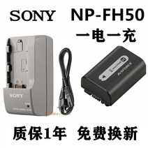 HXR-NX80 충전키트 PXW-X70 HDR-CX900 NP-FV70 sony HDR-CX560 호환 NP-FV100A충전기 NP-FV50 HDR-CX380, 회색