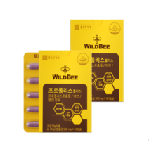 종근당건강 와일드비 프로폴리스 플러스 500mg 60캡슐 2박스