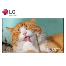 LG 86인치 나노셀 4K 스마트 UHD TV 86NANO86 AirPlay, 0-0. 픽업수령예약 (고양, 파주)
