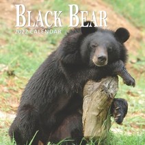 (영문도서) Black Bear Calendar 2022: 16 Months Planner (Sept 2021 to Dec 2022) Paperback, Independently Published, English, 9798513345688