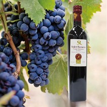 [AK PLAZA] [오가닉스토리] 솔레르로메로 유기농 발사믹식초 500ml