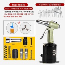 105677 Tridonic 공압 리벳 건 풀 캡 그랩 스테인레스 스틸 코어 풀 리벳기계 리벳팅 도구, 11 UG-6000G 20 줄 6 개 프로패
