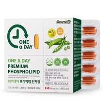 네추럴라이즈 프리미엄 인지질 대두 레시틴100% 90캡슐 1통 3개월 캐나다 레시틴 플러스, 1개입, 1, 90정