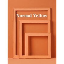 사진 스튜디오 배경 소품 장식 액세서리 단색 포토폰 프레임, [01] 20x20cm, [02] Normal Grenn