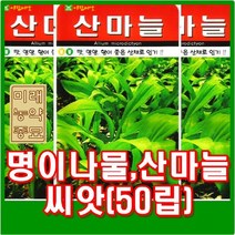 솔림텃밭몰 산마늘씨앗 50립 산마늘 명이나물씨앗 산채 보양채, 1개