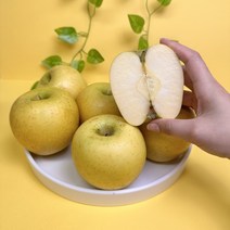 [황금사과] 상큼함을 담은 고당도 시나노골드, 못난이 중대과 5kg(12-16과), 1박스