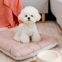 아망떼 펫 털 안붙는 알러지케어 애견방석M / L, M핑크