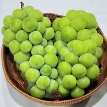 [호텔납품용] 고당도 샤인머스켓 추석 선물 세트 제철 과일 포도 망고포도 국내산 씨없는 청포도, C. 특등품(2.4kg내외/3송이)
