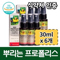 (6개 묶음) 식약처 인증 프로폴리스 액체 스프레이 타입 뿌리는 환절기 겨울 항산화 플라보노이드 17 함유 꿀벌 천연 향료