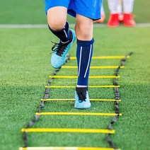 프로이스 스피드 사다리 축구훈련 순발력 민첩성훈련, 단품