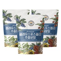해나식품 20배농축 콜레우스 포스콜리 추출분말, 300g, 3개