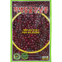 강낭콩 백미 작두콩 동부콩 완두콩 얼룩 호랑이 적색 흑색 녹두 백태 텃밭 씨앗 종자, 적색덩굴강낭콩