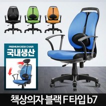 블랙 F타입 허리에좋은의자 바른자세 인체공학 듀얼백 사무실컴퓨터 공시생 사무, 책상의자블랙F타입그린b7