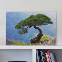 pi075-폼아크릴액자58CmX38Cm_산정상의소나무