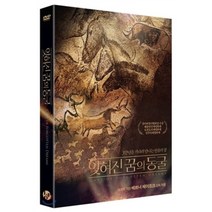 [DVD] 잊혀진 꿈의 동굴