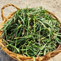 산지직송 국내산 노지 부추 500g, 상세페이지 참조, 상세페이지 참조