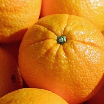 크기 소과 지역 랜덤 미국오렌지 5kg 썬키스트 당도, 1, 본상품선택