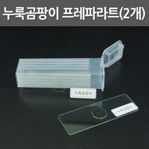 2P 누룩곰팡이 유리 프레파라트 관찰표본 실험도구 현미경 기자재 슬라이드 방과후 유치원 초등 돌봄