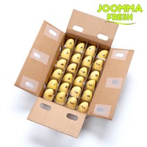 [줌마망고] 직수입 필리핀 카라바오 꿀 생망고 1kg 2kg 4kg 5kg, 카라바오망고 S 24과 5kg