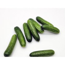 농사꾼아내 국내산 미니오이 300g/600g, 국내산 미니오이 300g