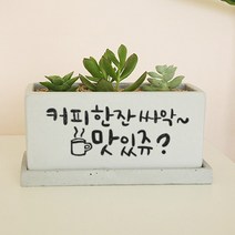 사무실 식당 가게 오픈 개업 축하 대박기원 개업식 선물 - 캘리그라피 미니화분, 와이드화분(+18000원), 화이트, 뒷면인쇄선택(+5000)